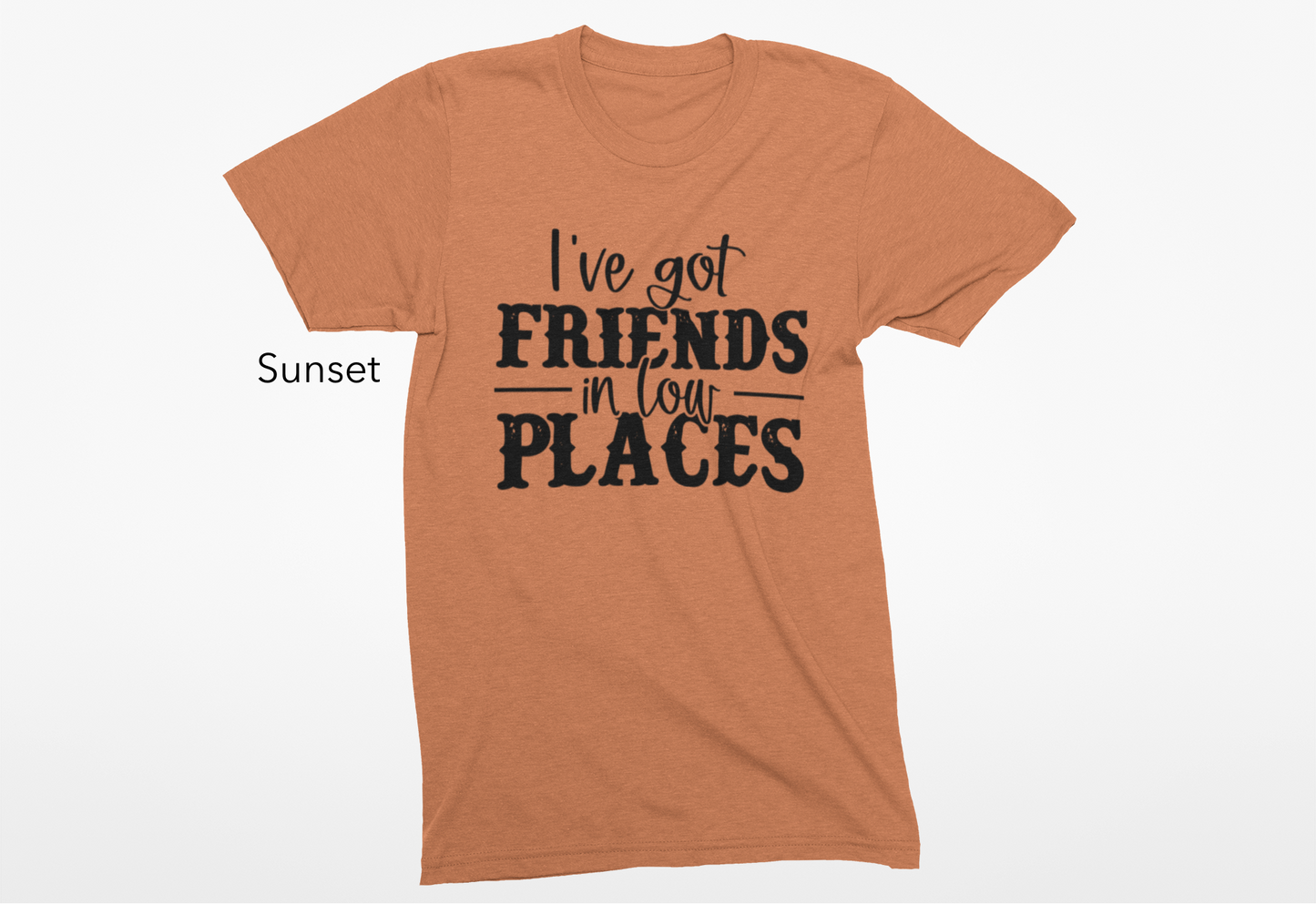 I've Got Friends in Low Places Vinyl Graphic Tee or Crewneck Sweatshirt